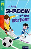 In the Shadow of the Striker (New edition)