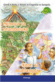 Mimoya ya ntumbuluko, Xitori xa muhlampfa