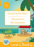 DUZI BUGS: YELLOW LEVEL 4: BOOK 4: A SURPRISE FOR MITCH | THE CURSE OF THE CHAMELEON