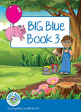 DUZI BUGS: BLUE BIG BOOK 3