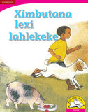 Ximbutana lexi lahlekeke Big Book version (Xitsonga)