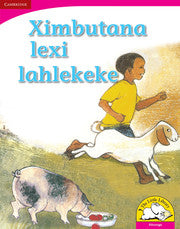 Ximbutana lexi lahlekeke Big Book version (Xitsonga)