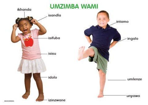 CHART: MASIHAMBISANE IBANGA R: UMZIMBA WAMI A2