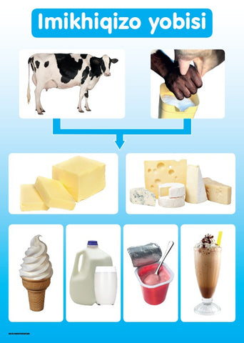 CHART: MASIHAMBISANE IBANGA R: IMIKHIQIZO YOBISI A2