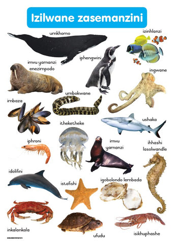 CHART: MASIHAMBISANE IBANGA R: IZILWANE ZASEMANZINI A2