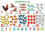 CHART: HAND IN HAND GRADE R (NDEBELE) INOMBORO 0-10 A2