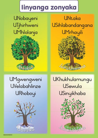 CHART: HAND IN HAND GRADE R (NDEBELE) IINYANGA ZONYAKA A2