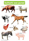 CHART: FARM ANIMALS XITSONGA A2