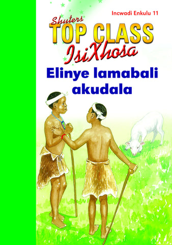 TOP CLASS ISIXHOSA FAL GRADE 3 BIG BOOK 10: ILIZWE LAM