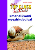 TOP CLASS ISIXHOSA FAL GRADE 2 BIG BOOK 6: EMANDIKWAZI NGEZIRHUBULUZI