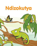 NDIZOKUTYA