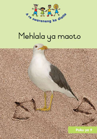 HAND IN HAND (SEPEDI) SMALL BOOK 9: MEHLALA YA MAOTO