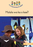 HAND IN HAND (SEPEDI) SMALL BOOK 8: MOLALA WA KA O KAE?