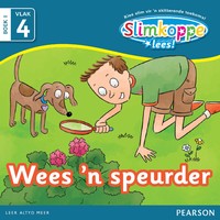 Slimkoppe Lees! Vlak4 Boek 1: Wees 'n speurder
