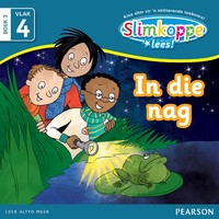 Slimkoppe Lees! Vlak4 Boek 3: In die nag