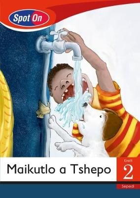 Spot On Sepedi Grade 2 Reader: Maikutlo a Tshepo Big Book (Friends & Feelings)