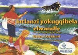 Intlanzi yokugqibela elwandle