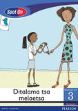 Spot On Setswana Grade 3 Reader: Ditalama tsa melaetsa Little Book (Entrepreneurship)