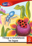 Spot On Setswana Grade 2 Reader: Tlhogi o timeletswe ke legae Little Book (Plants & Insects)