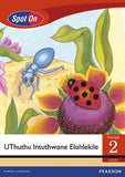 Spot On IsiZulu Grade 2 Reader: UThuthu Intuthwane Elahlekile (Big Book) (Plants & Insects) (CAPS)