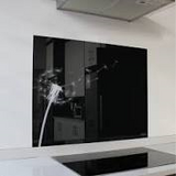 Kitchen Glass Hob Splashbacks Parrot Product