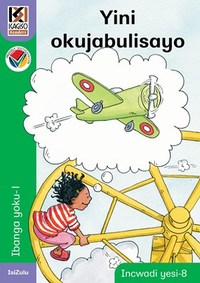 Kagiso Reader Gr 1 (IsiZulu) Book 8:  Yini okujabulisayo (Big Book) (NCS)