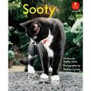 AK L12: SOOTY