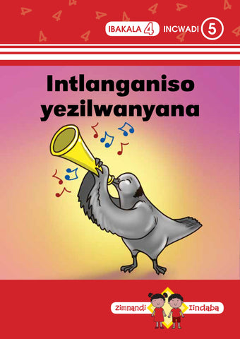 ZIMNANDI IINDABA RED SERIES: L4 B5: INTLANGANISO YEZILWAN...