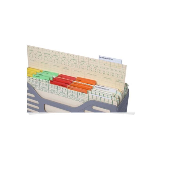 Box File Segregation System SPECIALISED FILING SYSTEMS Divider Card/ File Divider/Master Box – Elex ...