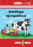 Zimnandi Iindaba Red Series: L3 B4: Sontinga Njengokhozi