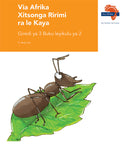 Via Afrika Xitsonga Home Language Grade 3 Big Book 2 (Printed book.)