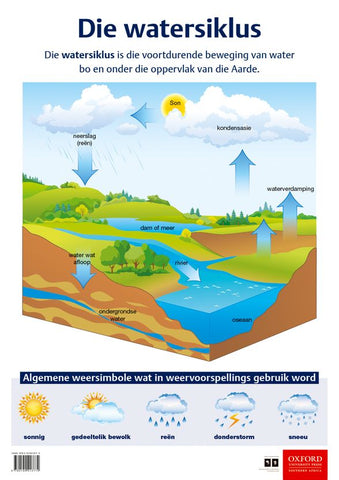 Die watersiklus (Afrikaans, Poster)