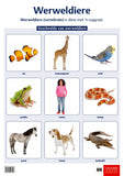 Poster (Natuurwetenskappe en Tegnologie): Werweldiere