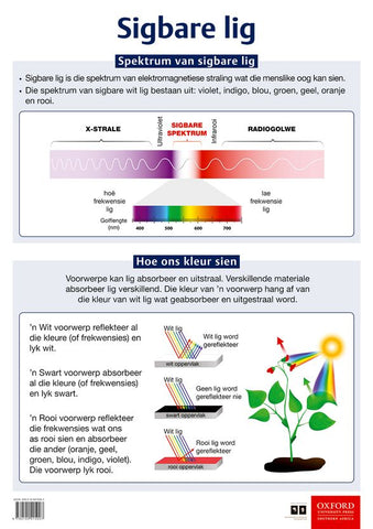 Poster Natuurwetenskappe: Sigbare lig