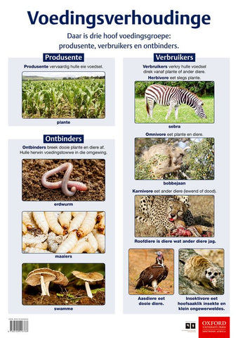 Poster Natuurwetenskappe: Voedingsverhoudinge
