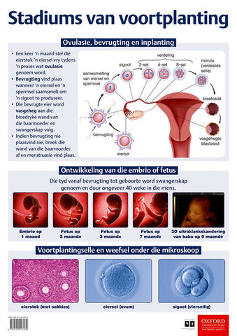 Poster Natuurwetenskappe: Stadiums van voortplanting