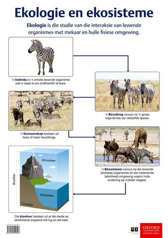 Poster Natuurwetenskappe: Ekologie en ekosisteme