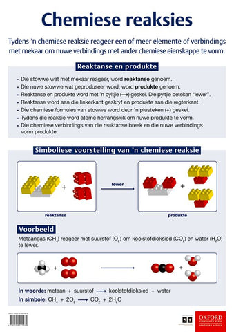 Poster Natuurwetenskappe: Chemiese reaksies