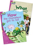 Aweh! English FAL Grade 1 Level 1 Big Book 5: How the chameleon got its tail What can you say?
