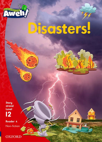 Aweh! English Grade 3 Level 12 Reader 4 Disasters!