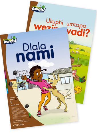Aweh! isiZulu Phonics Grade 1 Level 1 Big Book 2 Dlala nami and Ukuphi umtapo wezincwadi?