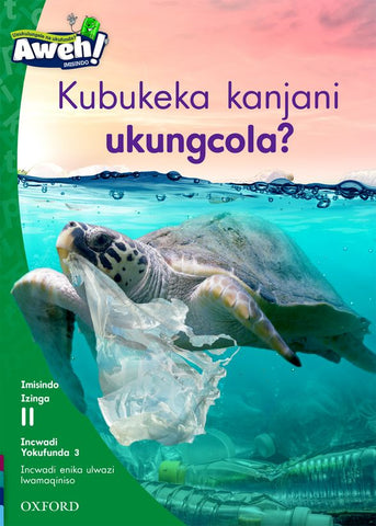 Aweh! IsiZulu Reading Scheme Grade 3 Level 11 Reader 3 Kubukeka kanjani ukungcola?