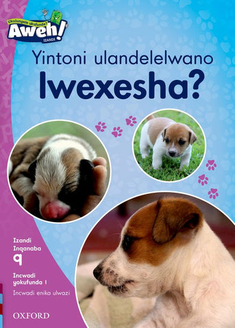 Aweh! IsiXhosa Reading Scheme Grade 3 Level 9 Reader 1 Yintoni ulandelelwano lwexesha?