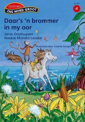 Daar's 'n brommer in my oor: Vlak 4 leesboek 2