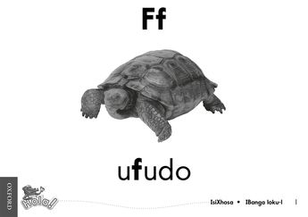 Hola Grade 1 Word Cards