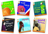 Floppy's Phonics Non-Fiction Level 6 Mixed Pack of 6