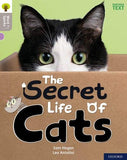 Word Sparks: L1 Secret Life of Cats