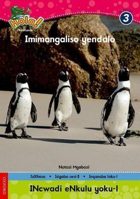 Hola Grade 3 Big Book 1 Imimangaliso yendalo