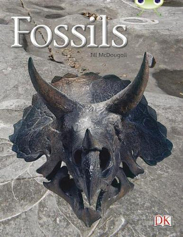 Fossils (Gold A) NF (BUG CLUB)