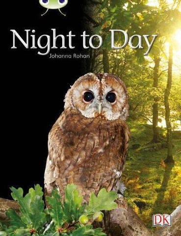 Bug Club: Night to Day Lilac
